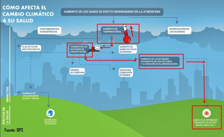 CC y dengue RAI 768x472