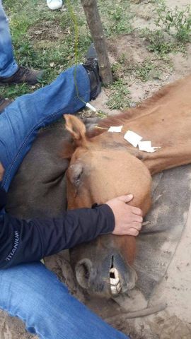 11094692 974923385858880 4834290830690528878 n