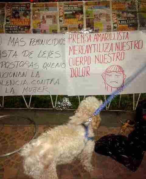 Movilizaciones animalistas y feministas en Cochabamba.