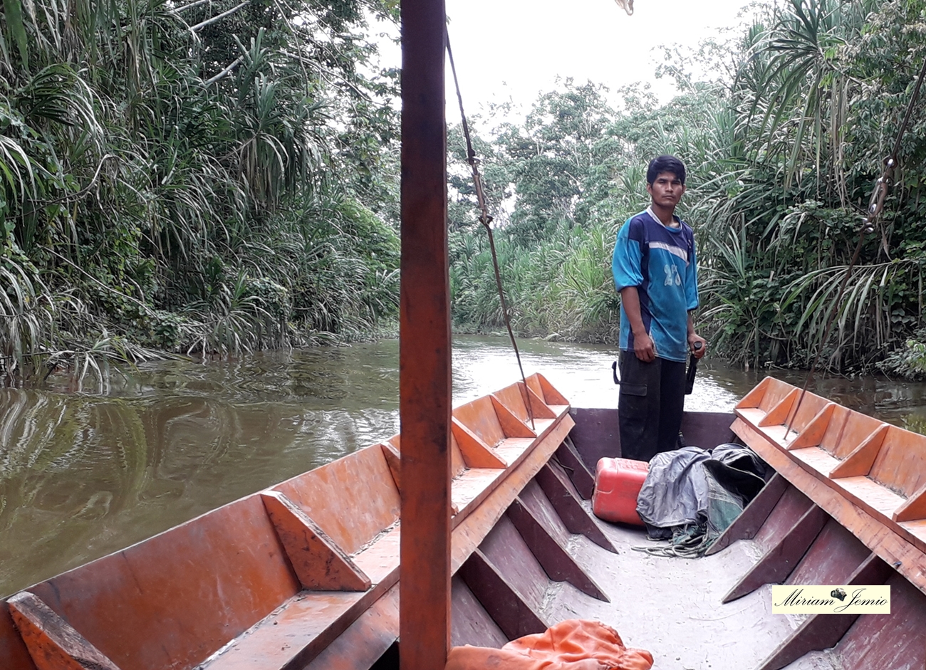 cesar sanchez corregido torewa