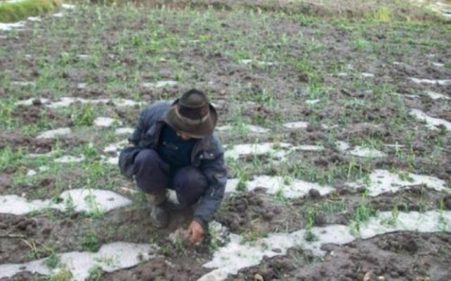 Granizo. Foto: Cambio