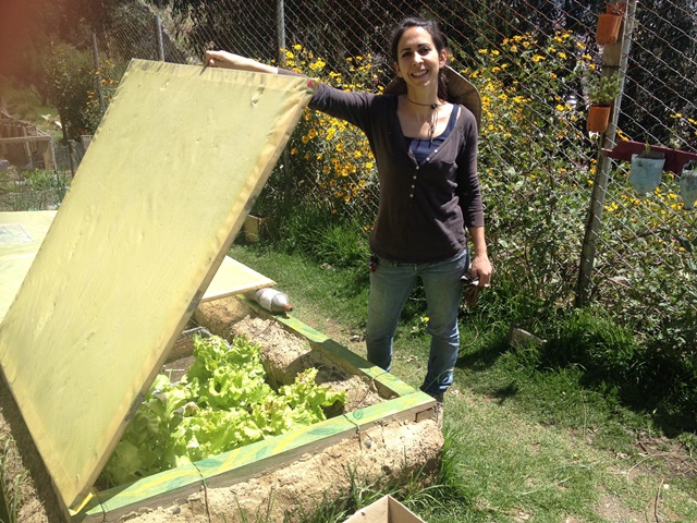 María Teresa Nogales