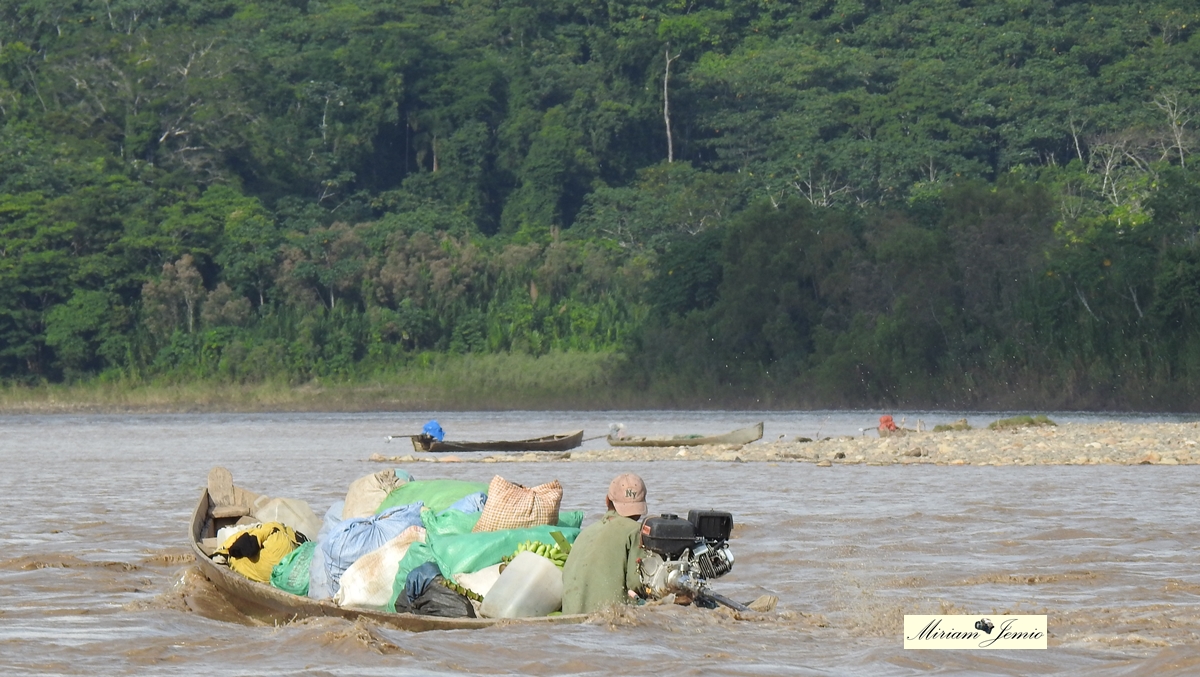 rio_beni.JPG