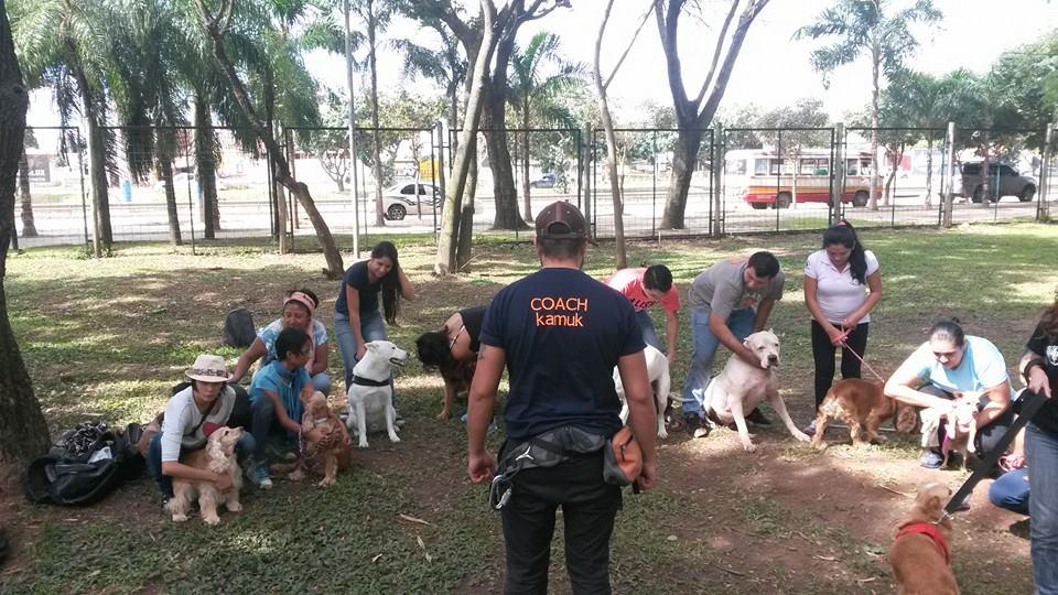 11036083 852847501476045 4502888337200205545 n