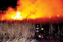 Dos incendios en la laguna Alalay, duros golpes a la ecología