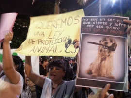La defensa de los animales cibermoviliza a los humanos