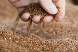 Día Mundial de la Alimentación: los desafíos de Bolivia