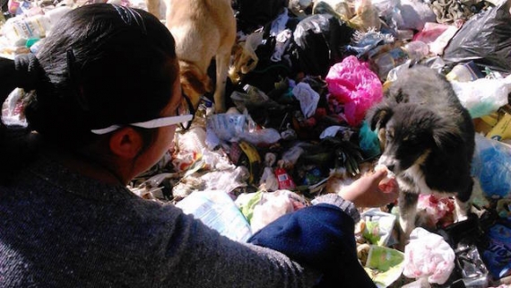 Una activista da de comer a un perro callejero en El Alto FOTO: Defendiendo Animales Concientizando Humanos, DACH Bolivia