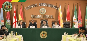 Tribunal Agroambiental: Pausa ecológica y resguardo a defensores ambientales entre las 12 medidas cautelares dictadas para proteger el jaguar