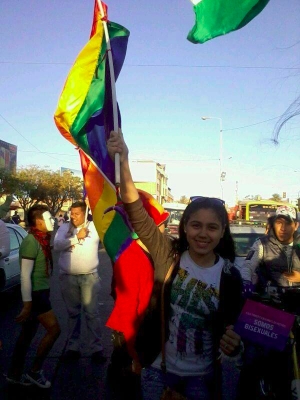 Representantes GLBT buscarán el voto en octubre