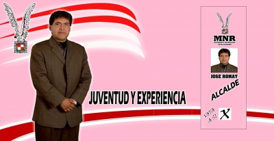 José Antonio Romay Jiménez