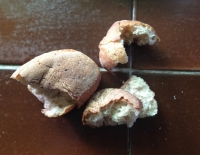 Jaya markat jutir yatiqirin jakäwipa