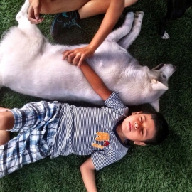 Intervención de Kamuk en el Centro Interdisciplinario de Estimulación Temprana Andar