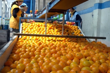 Caranavimpin Warisatampin nuwasïwinaka