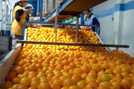 Caranavimpin Warisatampin nuwasïwinaka