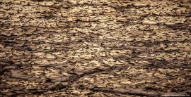 Planeta Bolivia. Erosión