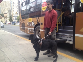 Comunidad de artistas Mojjsa Uma.