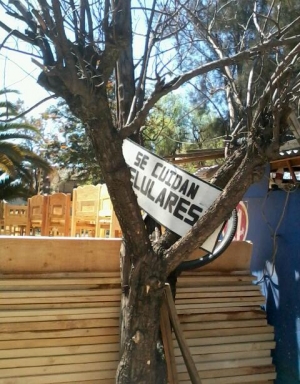 De paso por la plaza San Sebastián, en la zona sur de Cochabamba, sale al paso un curioso árbol/letrero. Todo tiene que ver con la viveza criolla para ganar dinero y la Ley 2298 de Ejecución Penal y Supervisión y su reglamento. Como está prohibo el uso de equipos como celulares y computadores en las cárceles, los policías hacen requisas para evitar que los familiares de los reclusos ingresen con estos aparatos. Pero ¿qué hacer con el celular ante las puertas de la prisión? Pues para eso están las niñeras digitales, tal cual se aprecia afuera de los penales San Sebastián Varones y San Sebastián Mujeres. Aun así, no pocos visitantes consiguen burlar el control policial; así se explica la creciente presencia de los reos en las redes sociales digitales como Facebook.