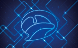 Un año de colaboraciones