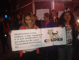 ¿Violencia contra animales vs. violencia contra humanos?