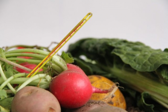 Alimentos agroecológicos.