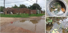 Santa Cruz: el zika amenaza y la población se muestra indiferente