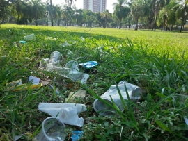 Domingos de sol, lunes de basura