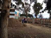 Jallu pachat juyphi pacharu