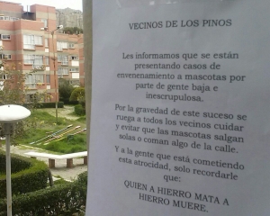 Envenenar mascotas, la salida cruel de la irresponsabilidad