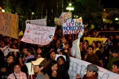 Ciudadanos en Defensa de los Animales – Bolivia (CEDAB)